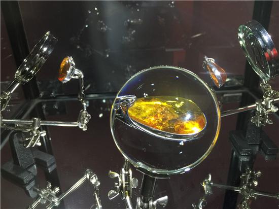 两大波兰展同时开幕 共贺“2016中国 成都-波兰文化节”展览现场