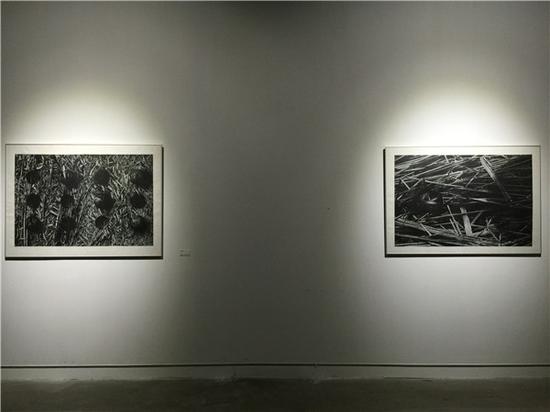 两大波兰展同时开幕 共贺“2016中国 成都-波兰文化节”展览现场