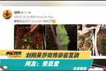 刘翔吴莎微博亲密互动 网友直呼秀恩爱