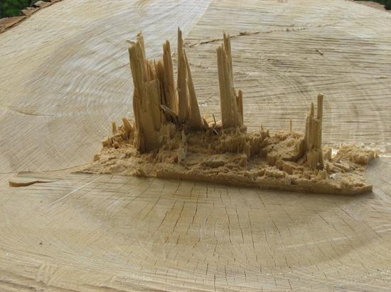 《来自静默时刻的讯息》插图之二，拍摄者：格哈德·里希特