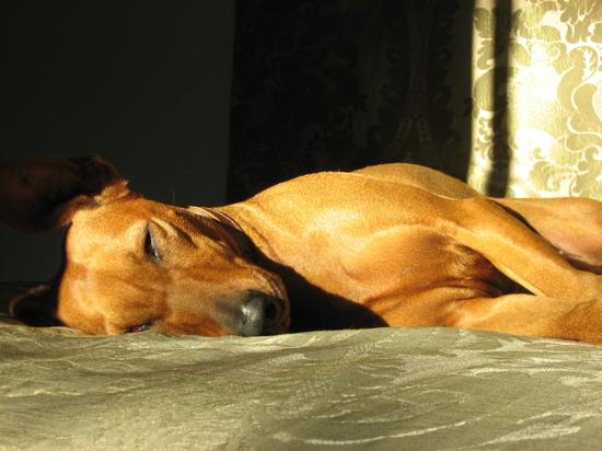《来自静默时刻的讯息》插图之一，拍摄者：格哈德·里希特