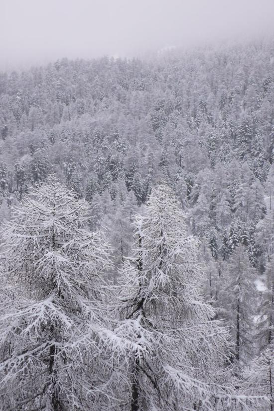 《十二月》插图之一，拍摄者：格哈德·里希特