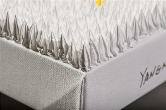 新浪四川对话杨冕