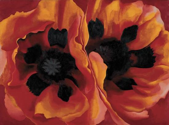东方罂粟(Oriental Poppies),1972