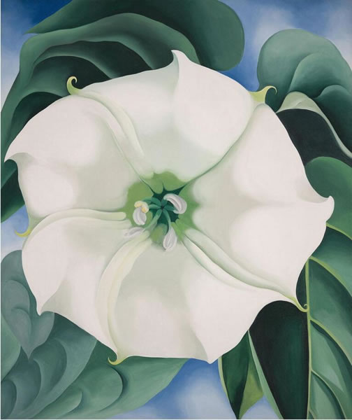 白色花1号,1932