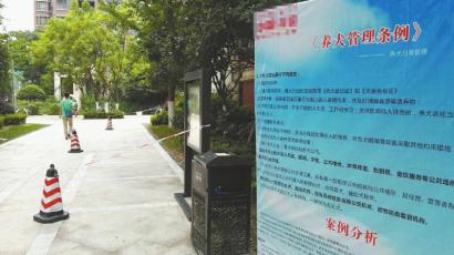 7月26日,事发小区内,小区物业为了规范居民养狗,特别设置了提示板。