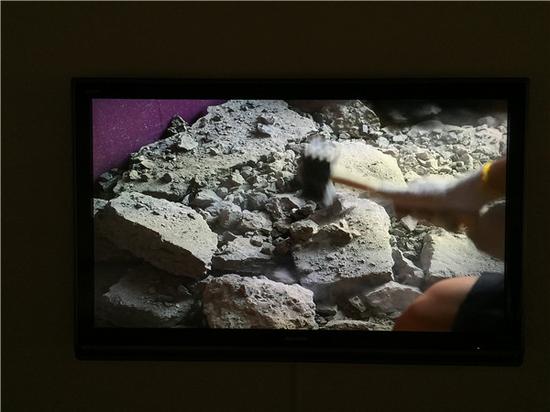 张震宇视频（截图）