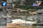 實拍：游客公園游玩觸電 三人不幸遇難