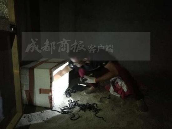 现场