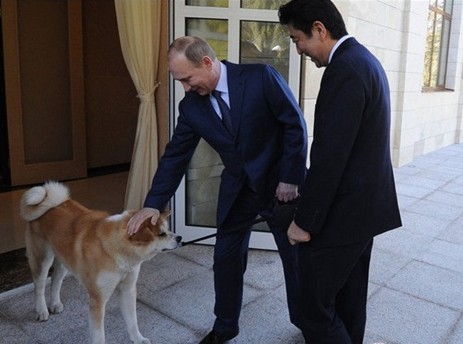 普京安倍会面