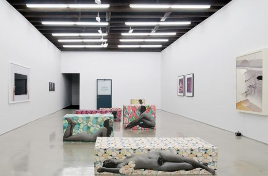 “抗体”，Lisa Cooley画廊