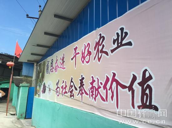 网络媒体走转改芦山红星村:精准扶贫不破楼兰