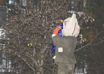 遂宁捕蜂达人紧急清理马蜂窝