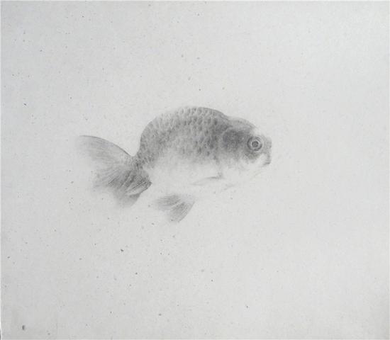 朱可染 《物·象-65》 纸本铅笔 26.3cm×24cm 2012