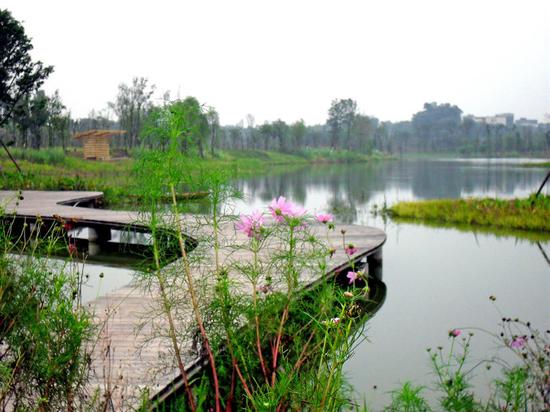 白鹭湾生态湿地公园