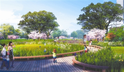 成都首座地下污水处理厂水生态展示区效果图