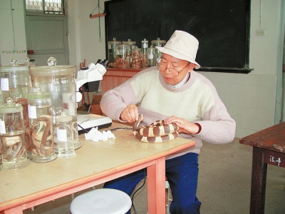 赵尔宓院士在实验室里工作。(受访者供图)
