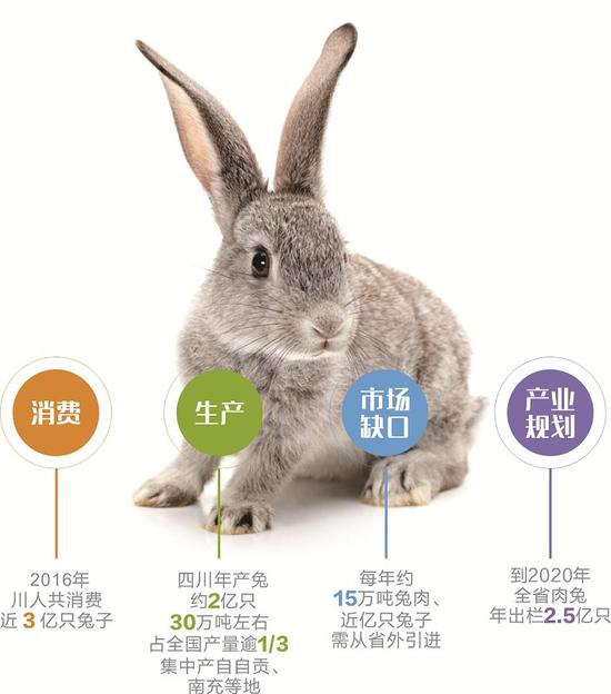 成都市2019年老年人口信息猴_6月24日,观音送财送子来了,属猴人快快接下吧