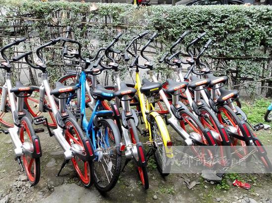 被指乱停放 成都十余辆共享单车被锁进医院车
