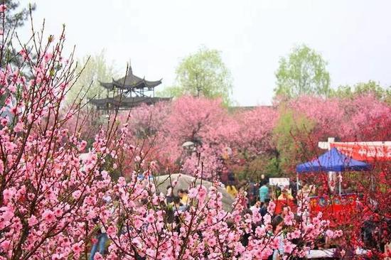 春花烂漫