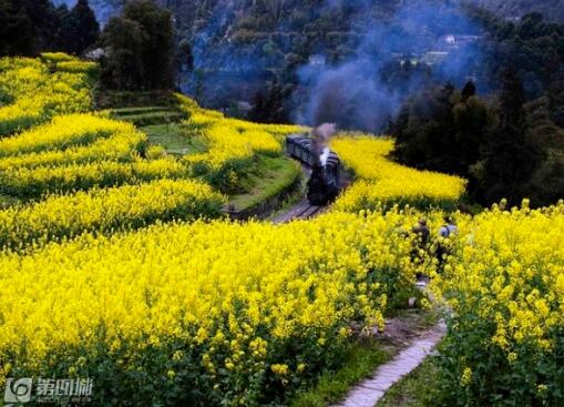 四川赏花线路有哪些 2017一起去看花海_成都