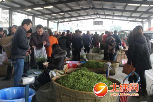 鲜茶市场交易火热