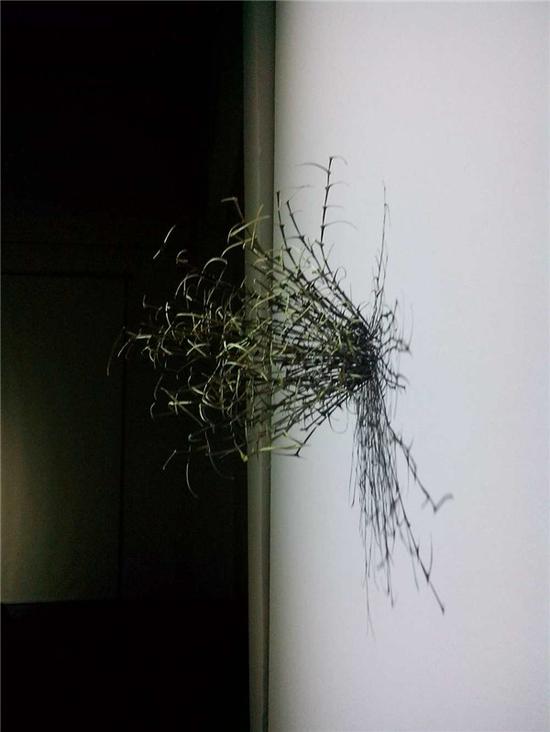 文豪，内在的逻辑，刺，30×30×30 cm，2014 (2)