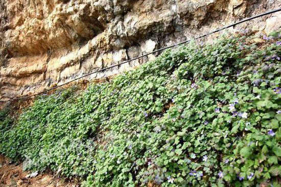 2017年5月观看次数最多的流行好听华语歌曲 