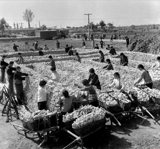 老照片八:70年代的中国农村