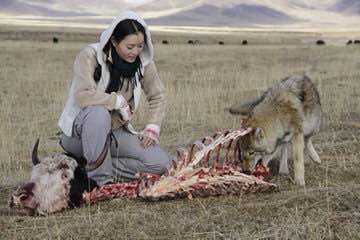 《重返狼群》首站解锁故乡成都 导演七年时间