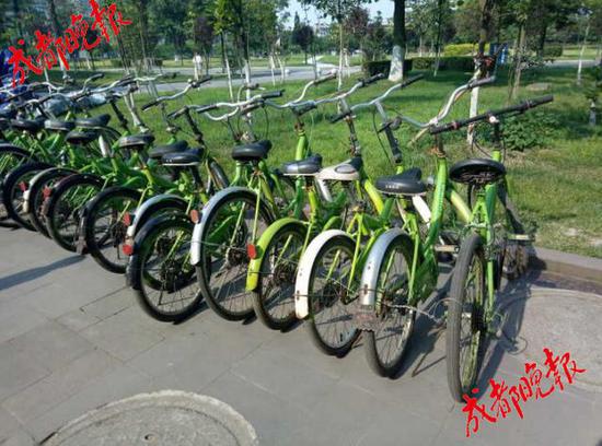 不交押金不扫码 成都高校现专属共享单车
