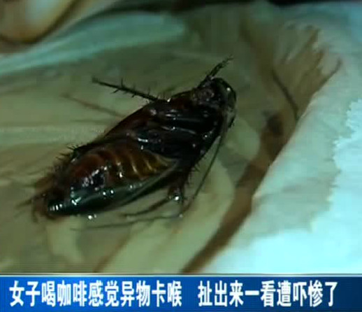 视频截图