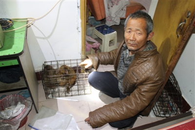 新野买卖人口_新野板面