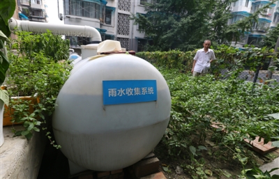 菜园里面装有雨水收集系统,灌溉都不用自来水