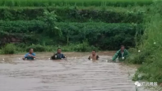 冒着大雨,村民和民警在堰塘里全力寻找小星。