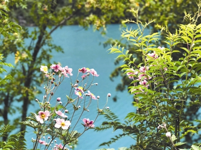 犀牛海,水仍然幽蓝,岸边花儿争奇斗艳
