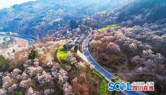 平武县桅杆村