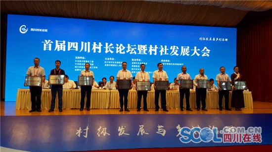 全国百强村集体经济总量_村集体经济分红(3)