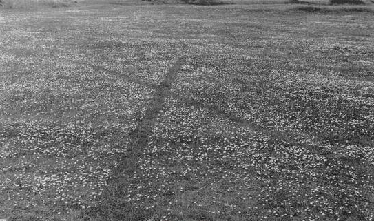 理查德 朗（Richard Long），《英格兰》（England），1968