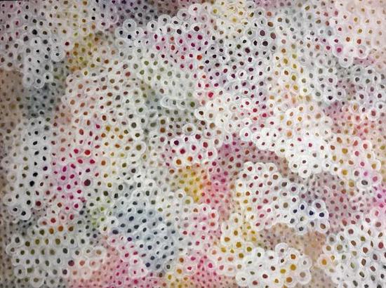 珍妮-埃文斯:野花 (2017),藏于悉尼大学艺术学院。