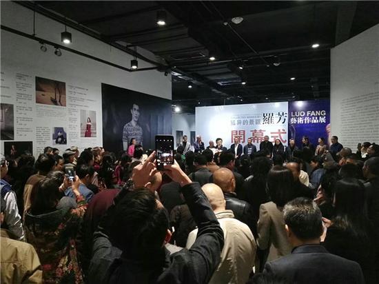 延异的景观——罗芳艺术作品展现场