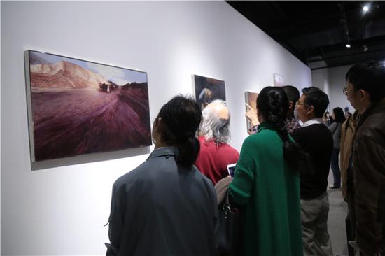 延异的景观——罗芳艺术作品展现场