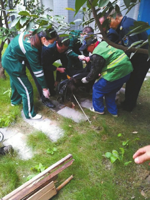 童晓芳出事后,居民和医护人员立即施救。