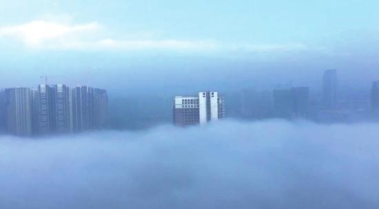 13日大雾,成都见云海奇观(图据网友)