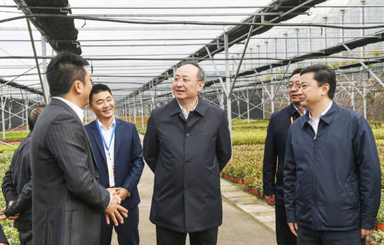 尹力在南江县正直镇七彩林业公司调研发展林业产业带动农户脱贫增收