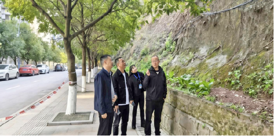 巡查组在石家湾社区富丽楠山开展汛前地质灾害巡查