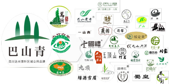 达州茶叶品牌矩阵