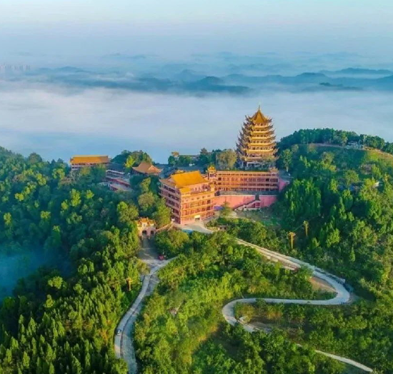 市河东新区