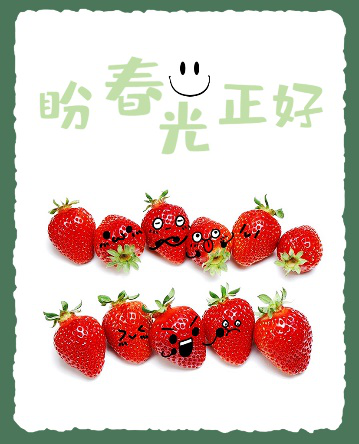 张嘉倪[味里故乡]春天爱心版成都草莓