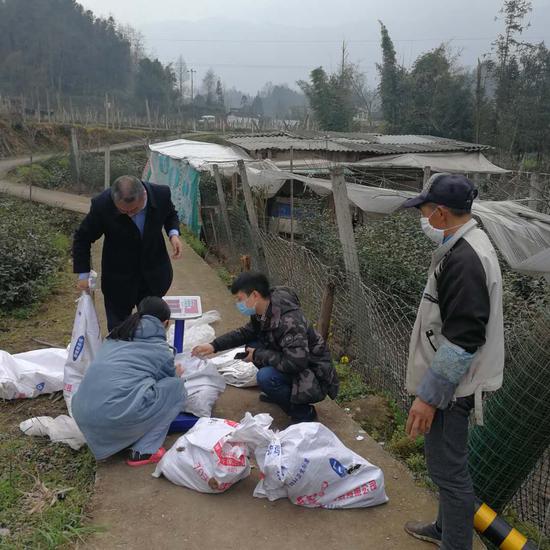 上里镇建新村第一书记刘欣在登记采买贫困户土鸡